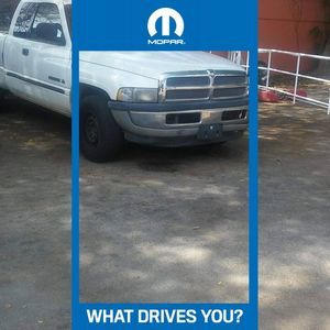 Meet your Posher, Robert